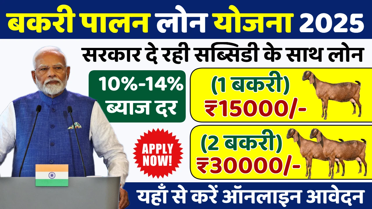 Bakri Palan Business Loan Yojana 2025